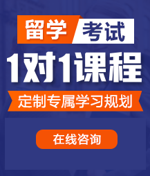 被大鸡巴操骚逼免费视频留学考试一对一精品课